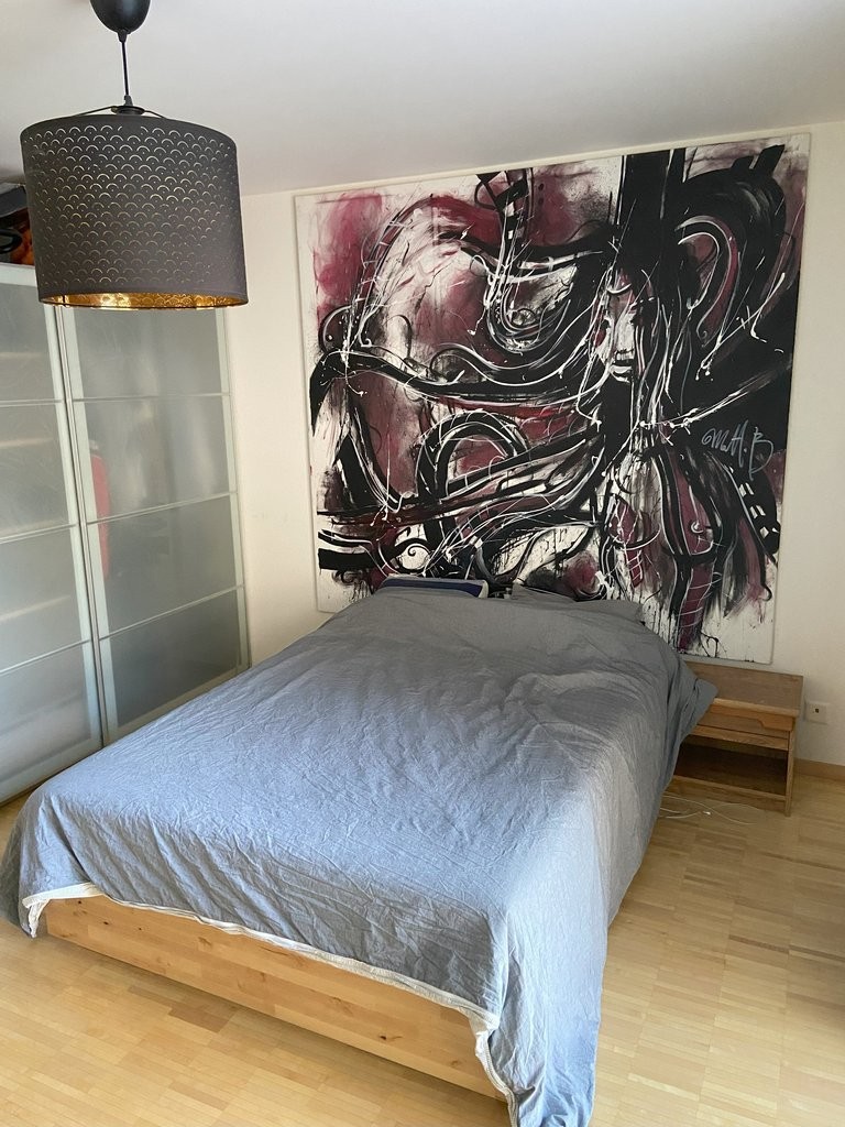 A saisir ! Magnifique appartement à deux pas du lac Léman ! - 3