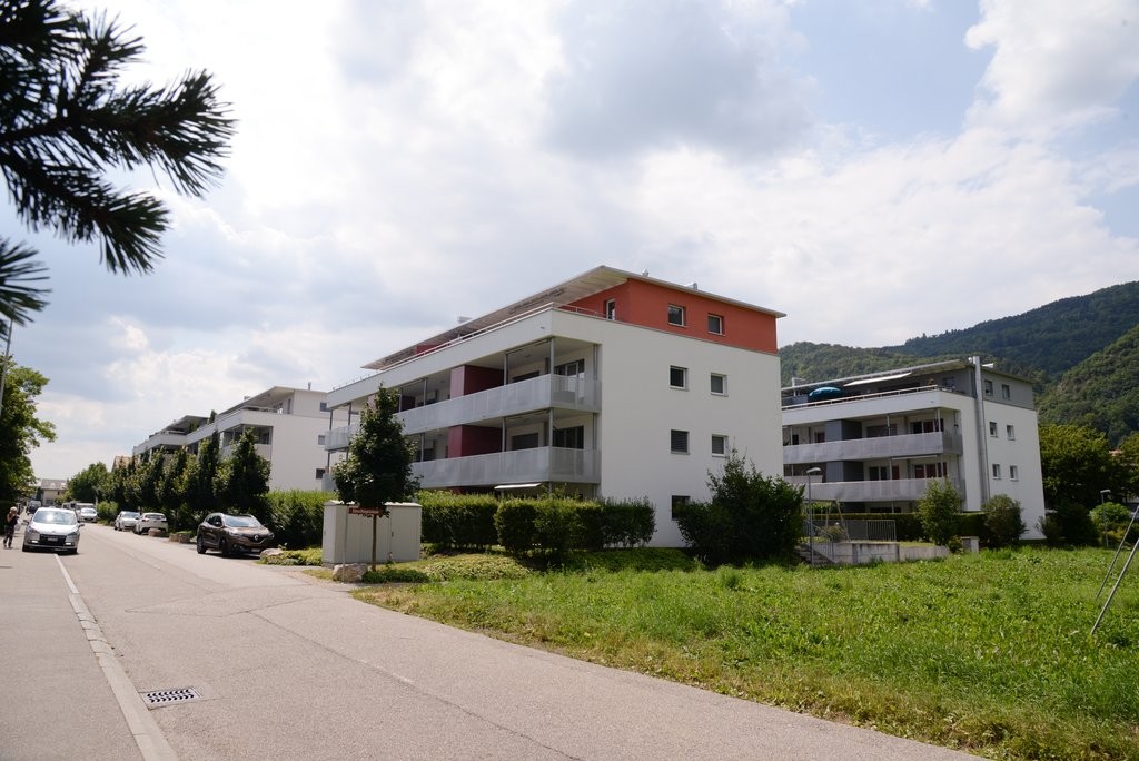 Traumwohnung für Singles - 0