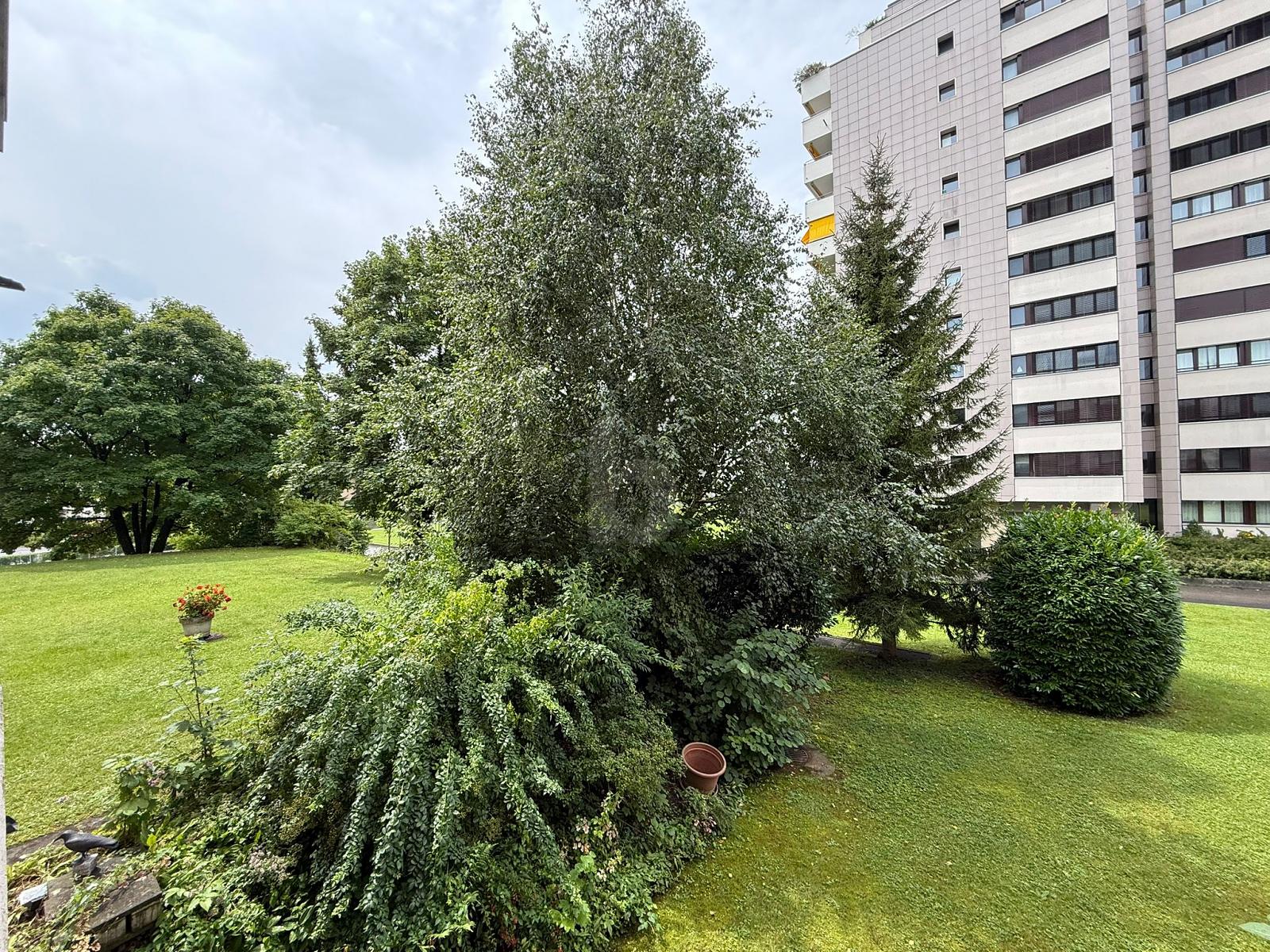 FRISCH RENOVIERT, HELL MIT VIEL PLATZ - 0