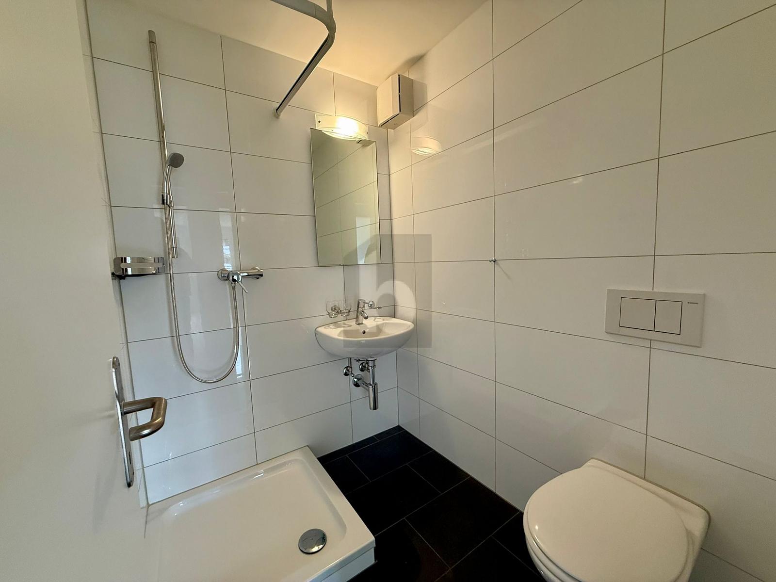 FRISCH RENOVIERT, HELL MIT VIEL PLATZ - 3