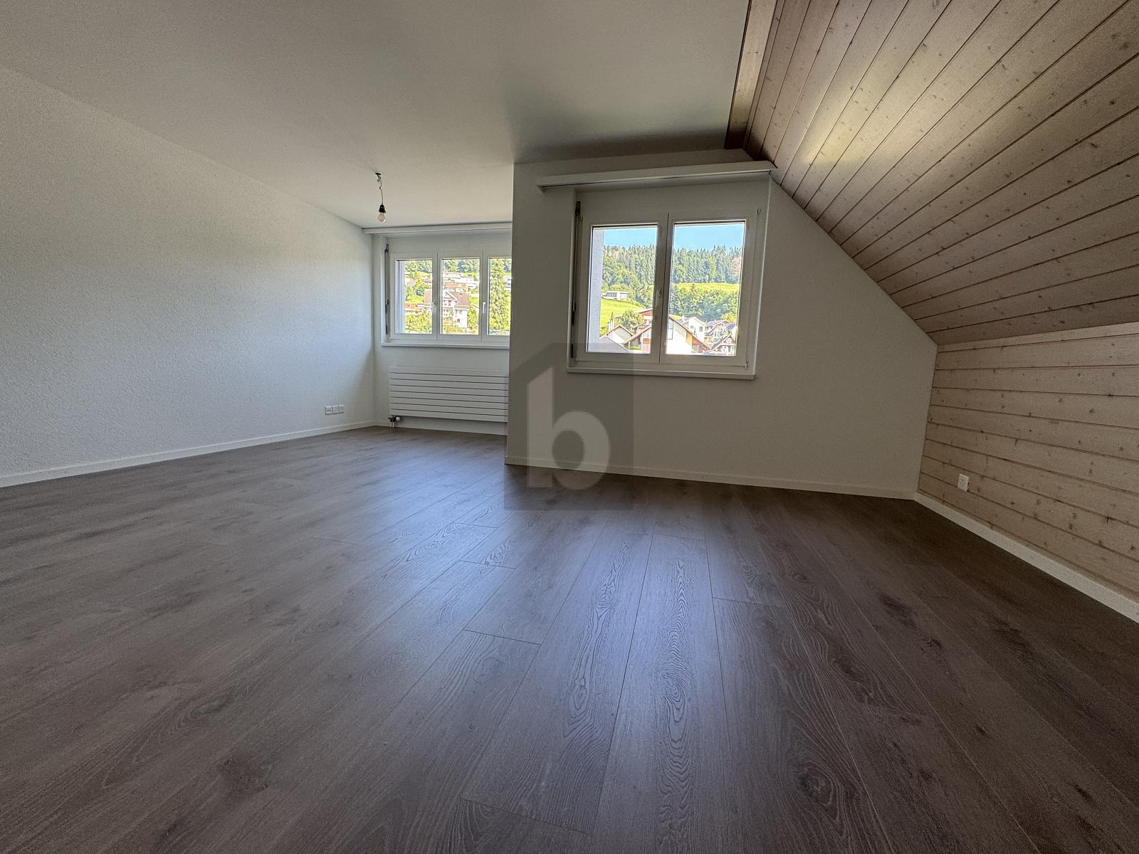 GROSSE HELLE RÄUME MIT SCHÖNER AUSSICHT - 1