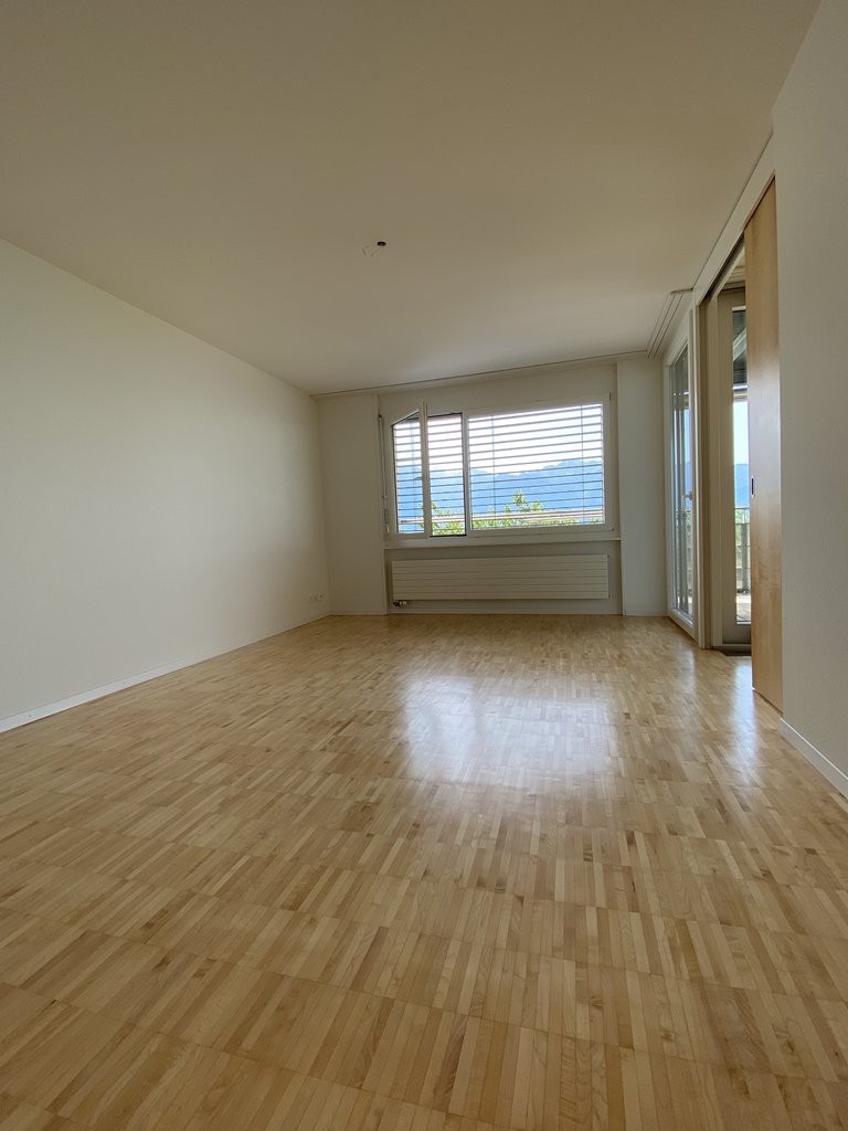 A saisir ! Magnifique appartement à deux pas du lac Léman ! - 3