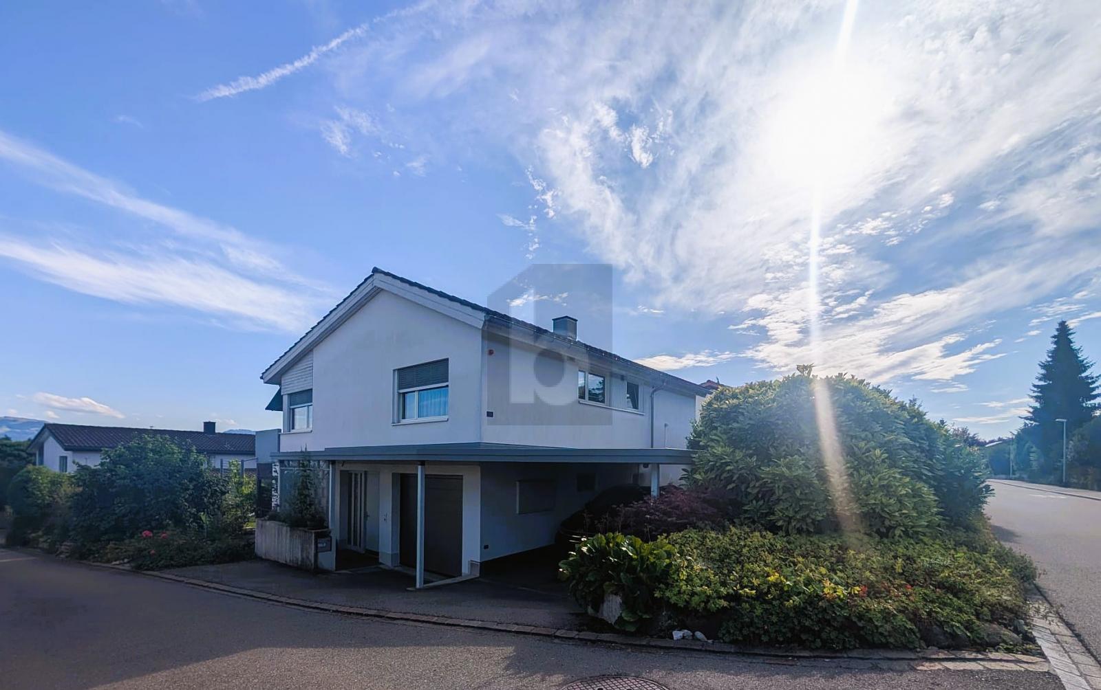 MIT GROSSEM UMSCHWUNG UND BERGPANORAMA - 4