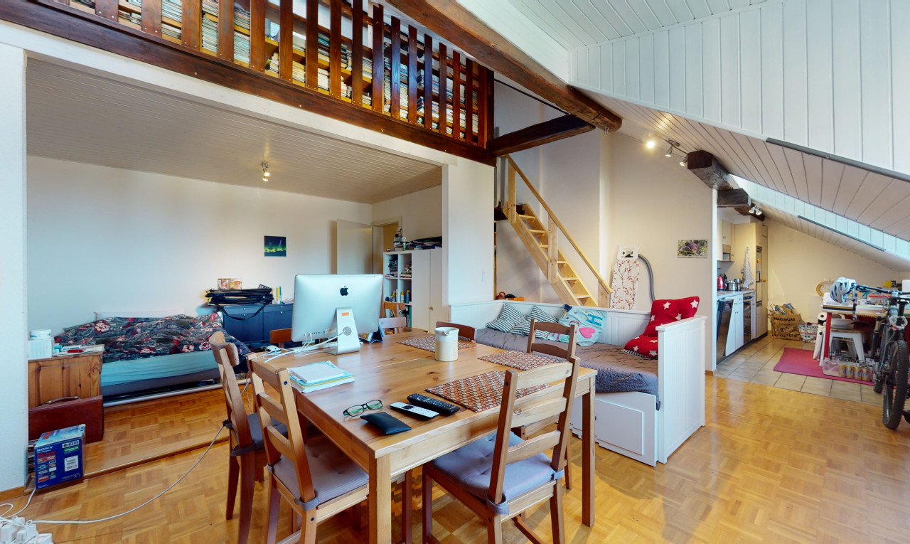 INVESTOR OPPORTUNITY - Very attractive investment property in Blonay - 1