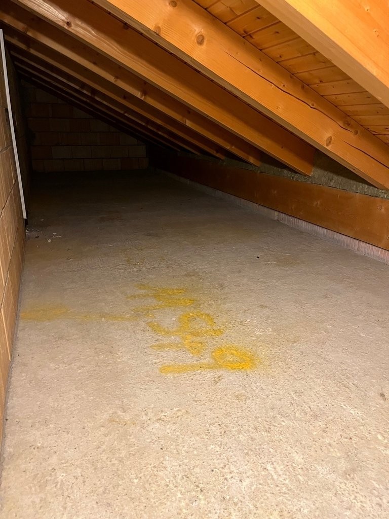 Charmante 2.5 Zimmerwohnung im Dachgeschoss! - 8