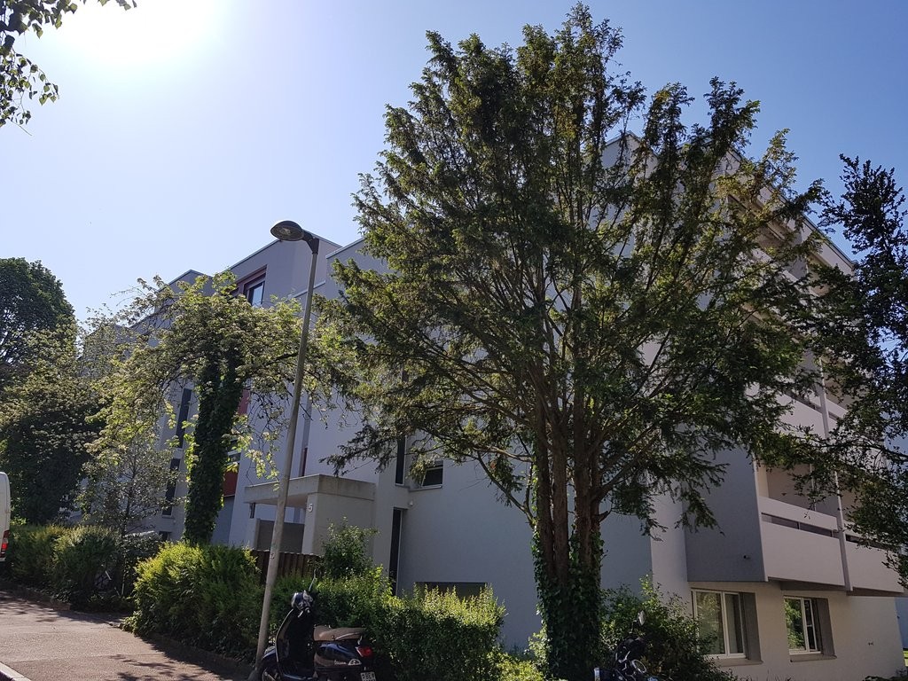 Erste eigene Wohnung gesucht? - 0