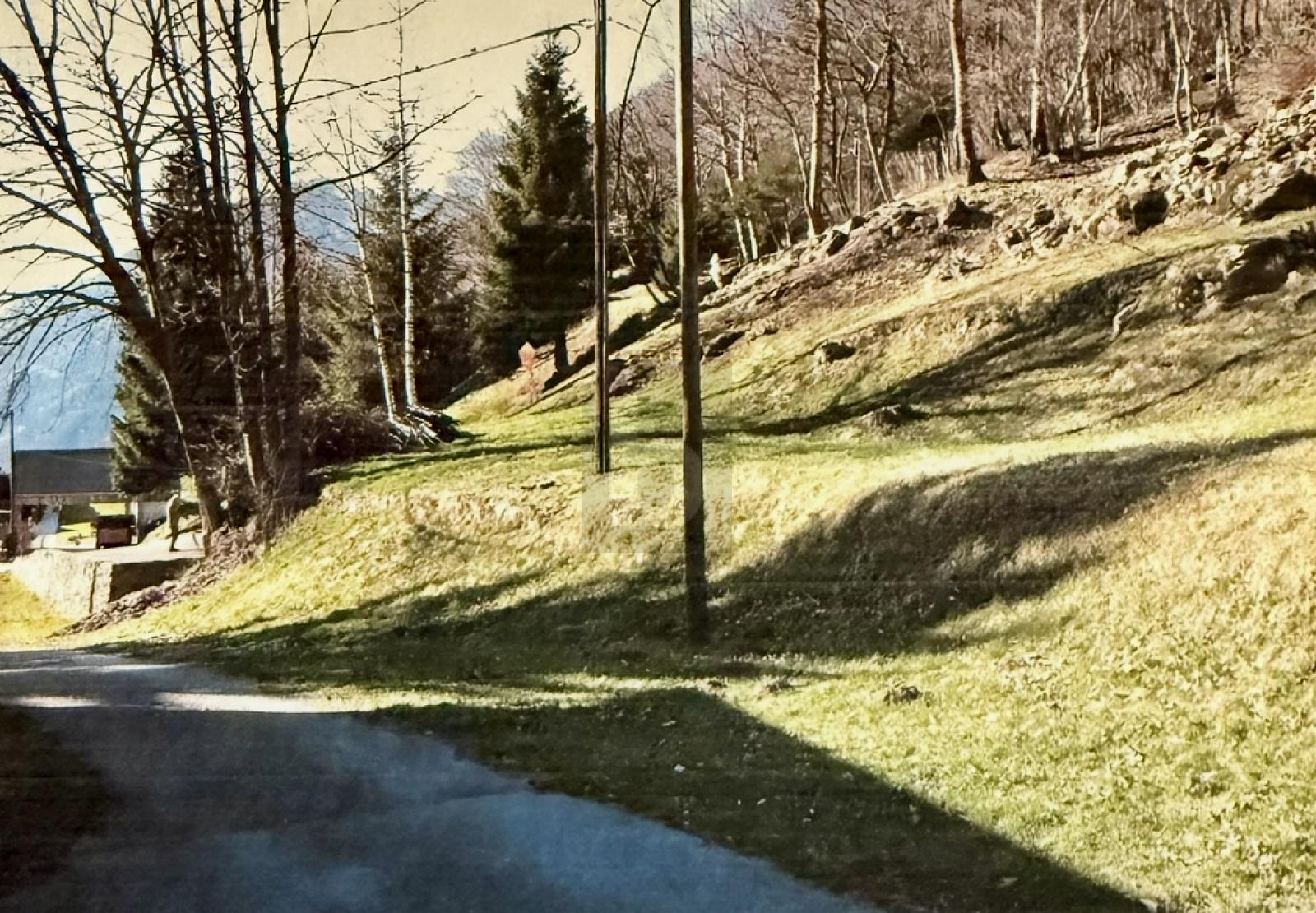 SOLEGGIATO E TRANQUILLO - 0