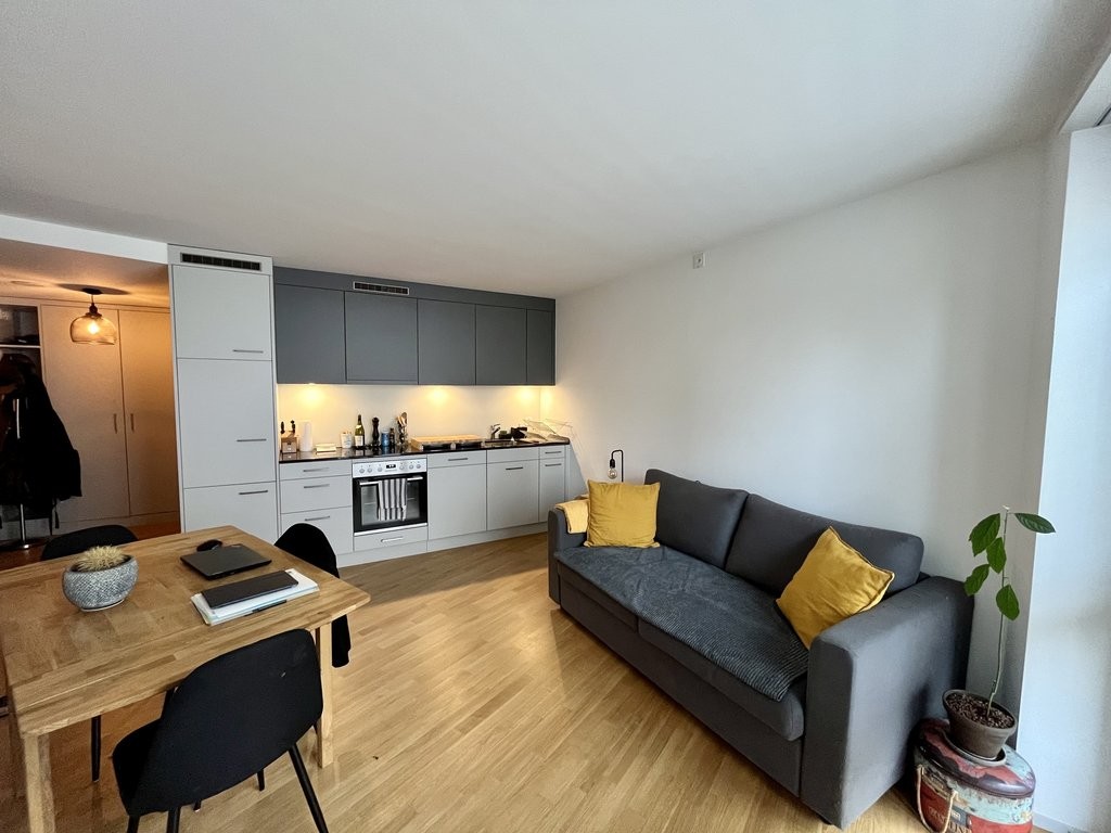 Wunderschöne Wohnung sucht neuen Mieter/in - 1