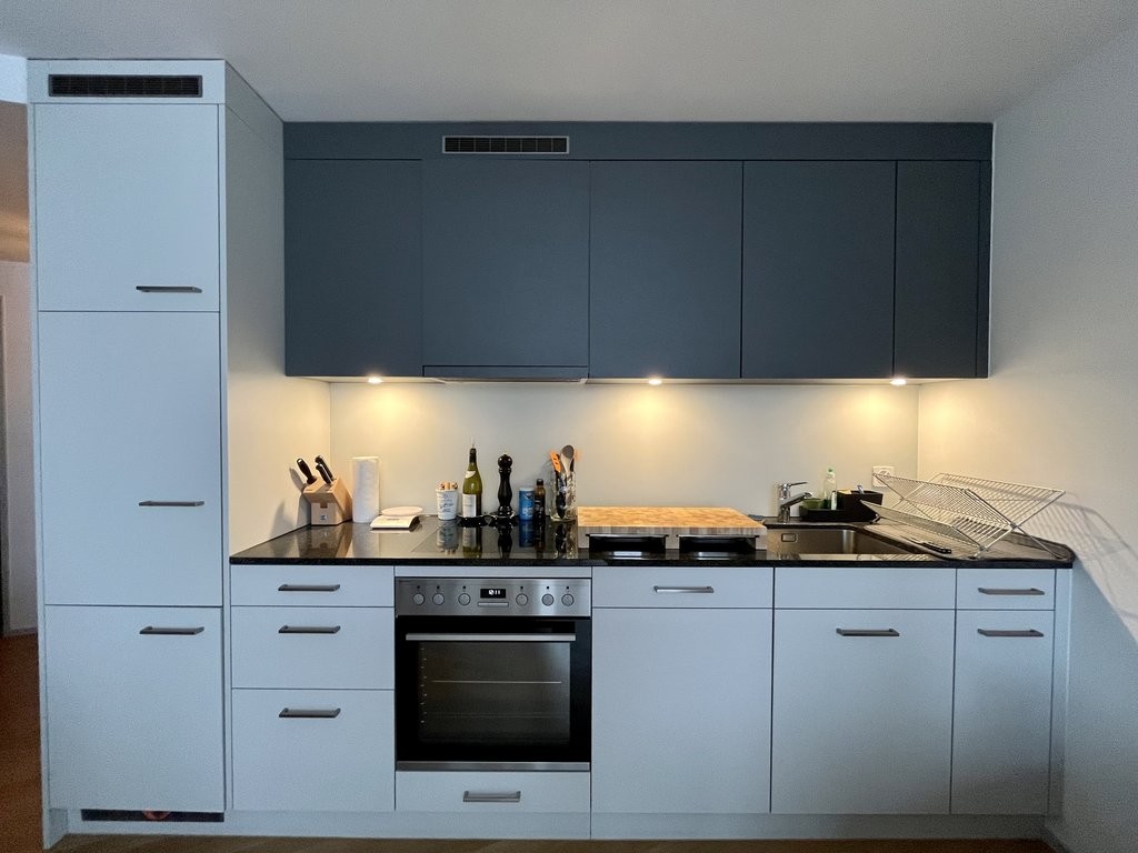Wunderschöne Wohnung sucht neuen Mieter/in - 3