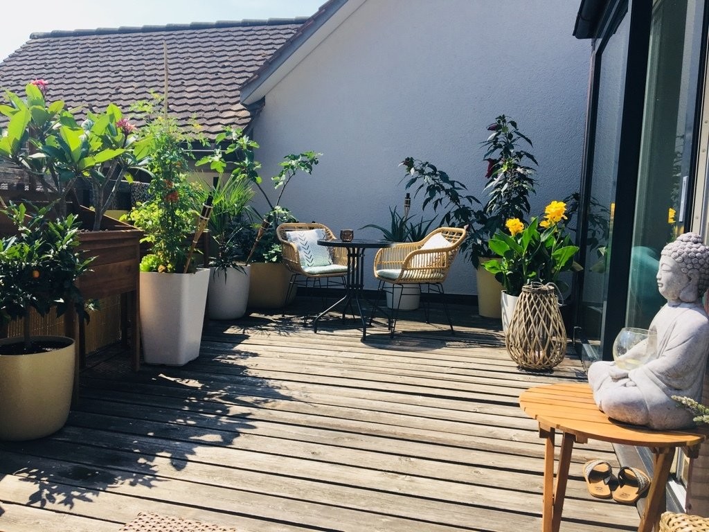 tolle Altbauwohnung mit sonniger Terrasse - 0