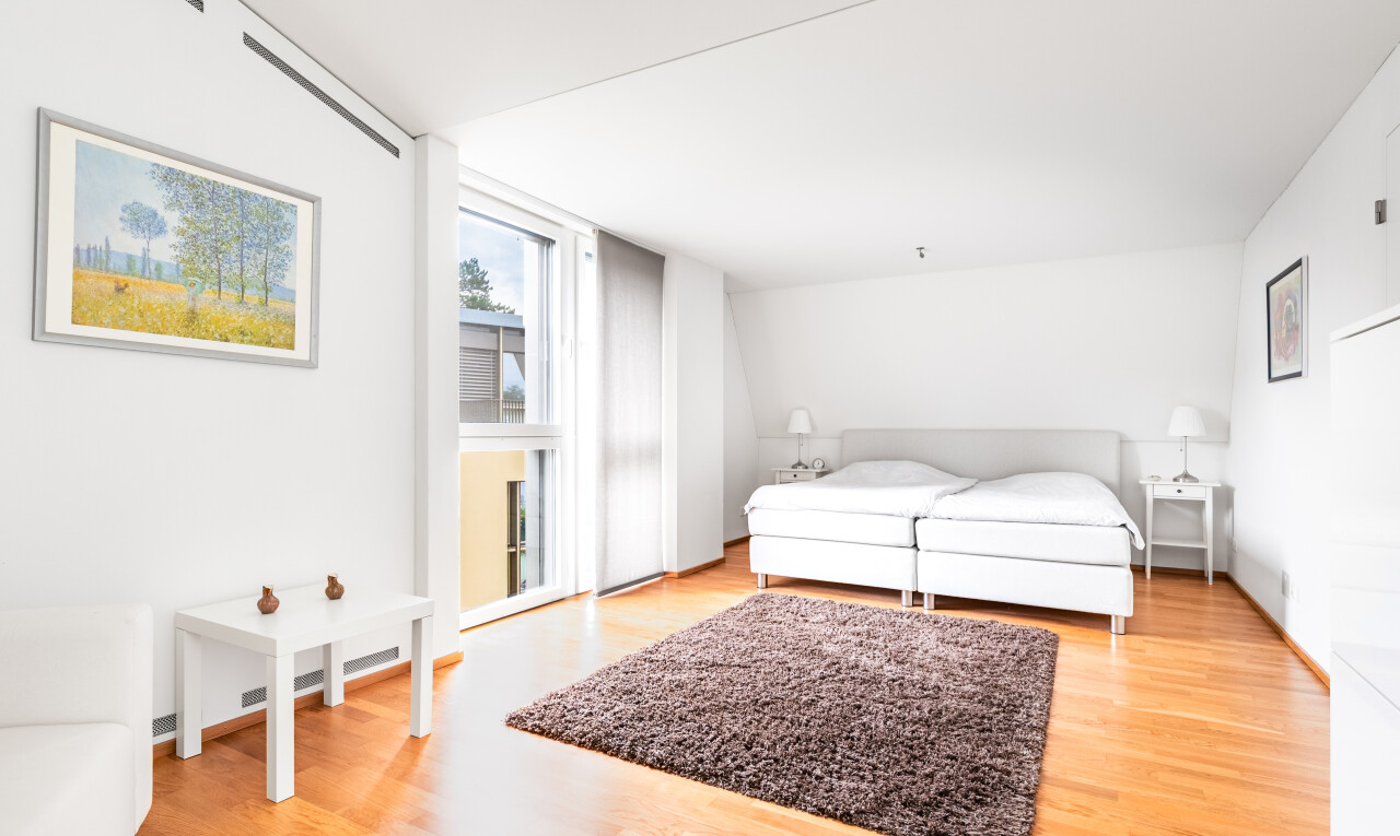 Attic Duplex with Winter Garden, Roof Terrace and Separate Studio - 8