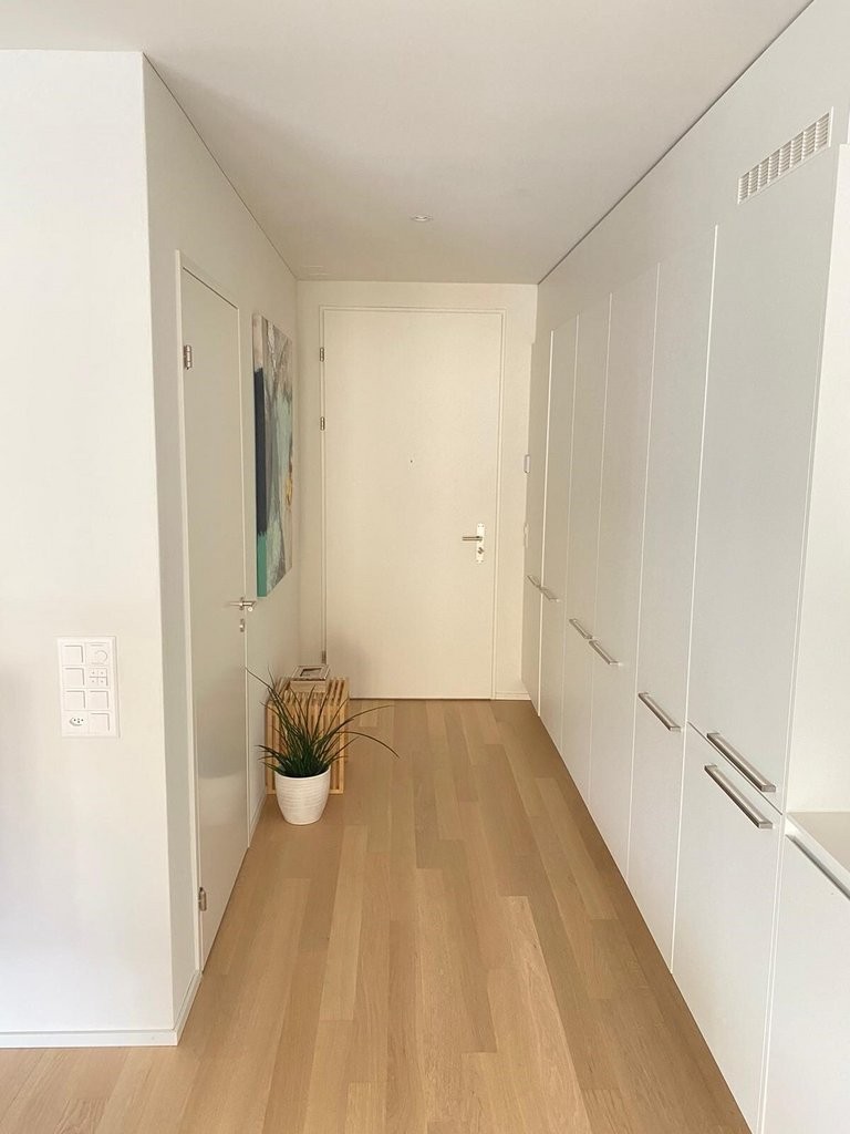 Ihre Chance - wunderschöne Single Wohnung in Zürich - 3