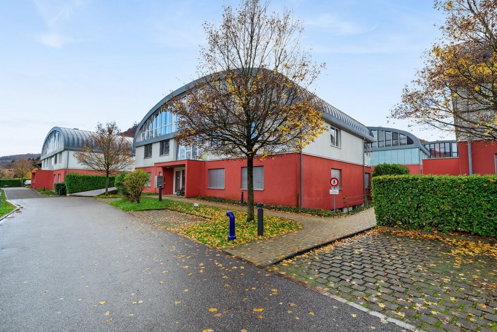 Lichtdurchflutete 3.5 Zimmerwohnung in Sissach - 0