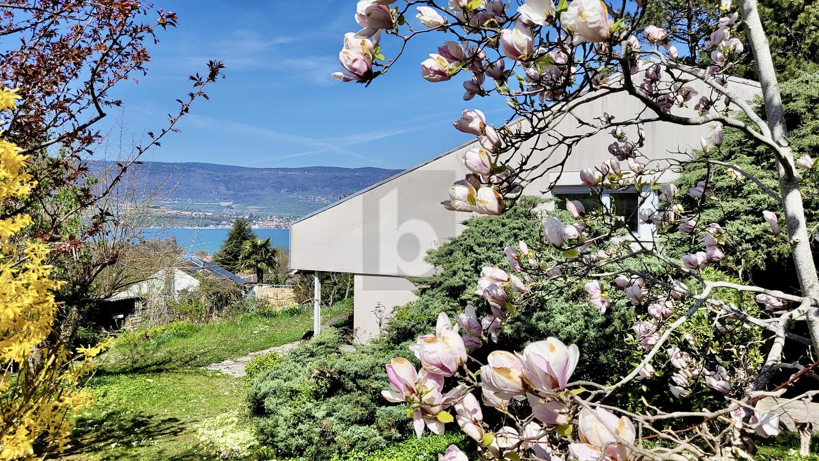 MAGNIFIQUE DANS UN ENVIRONNEMENT PAISIBLE - 0