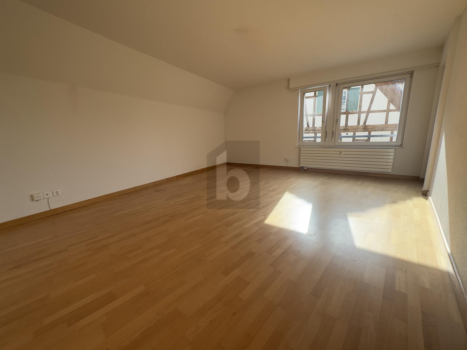 ZENTRAL, NAHE RHEIN MIT BALKON - 0