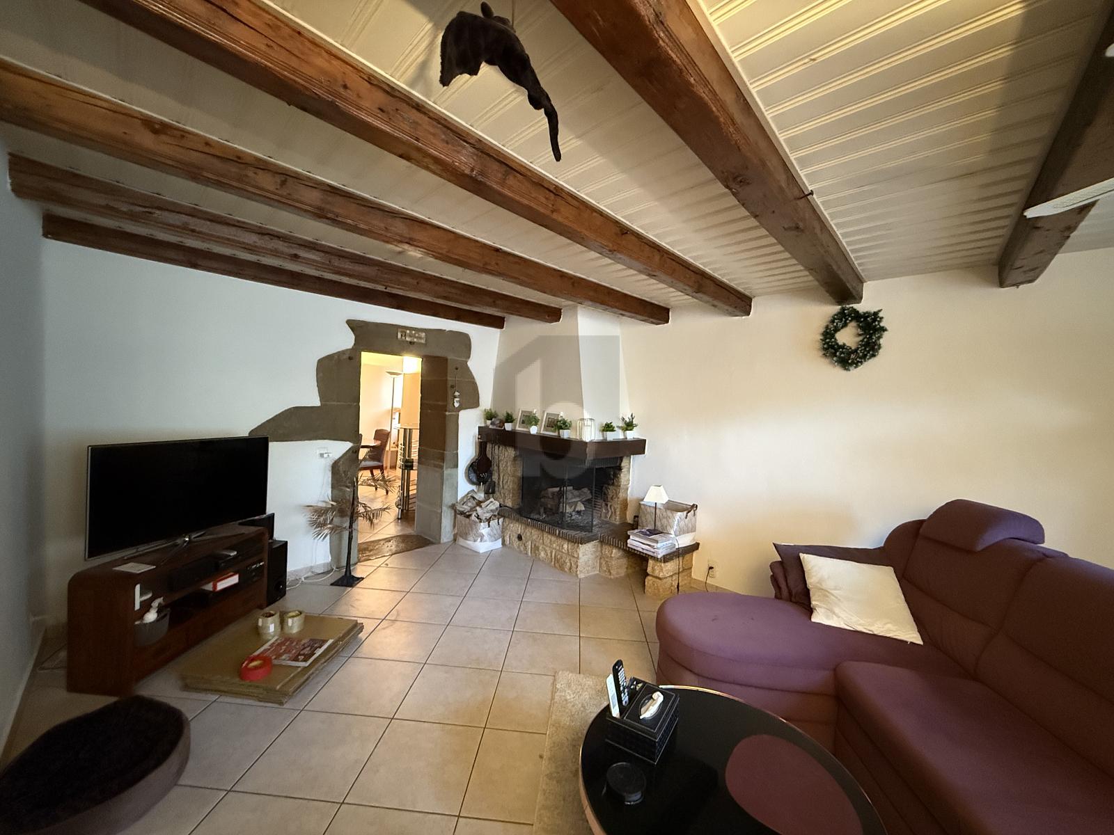 CHARMANT, SPACIEUX ET FAMILIAL - 1