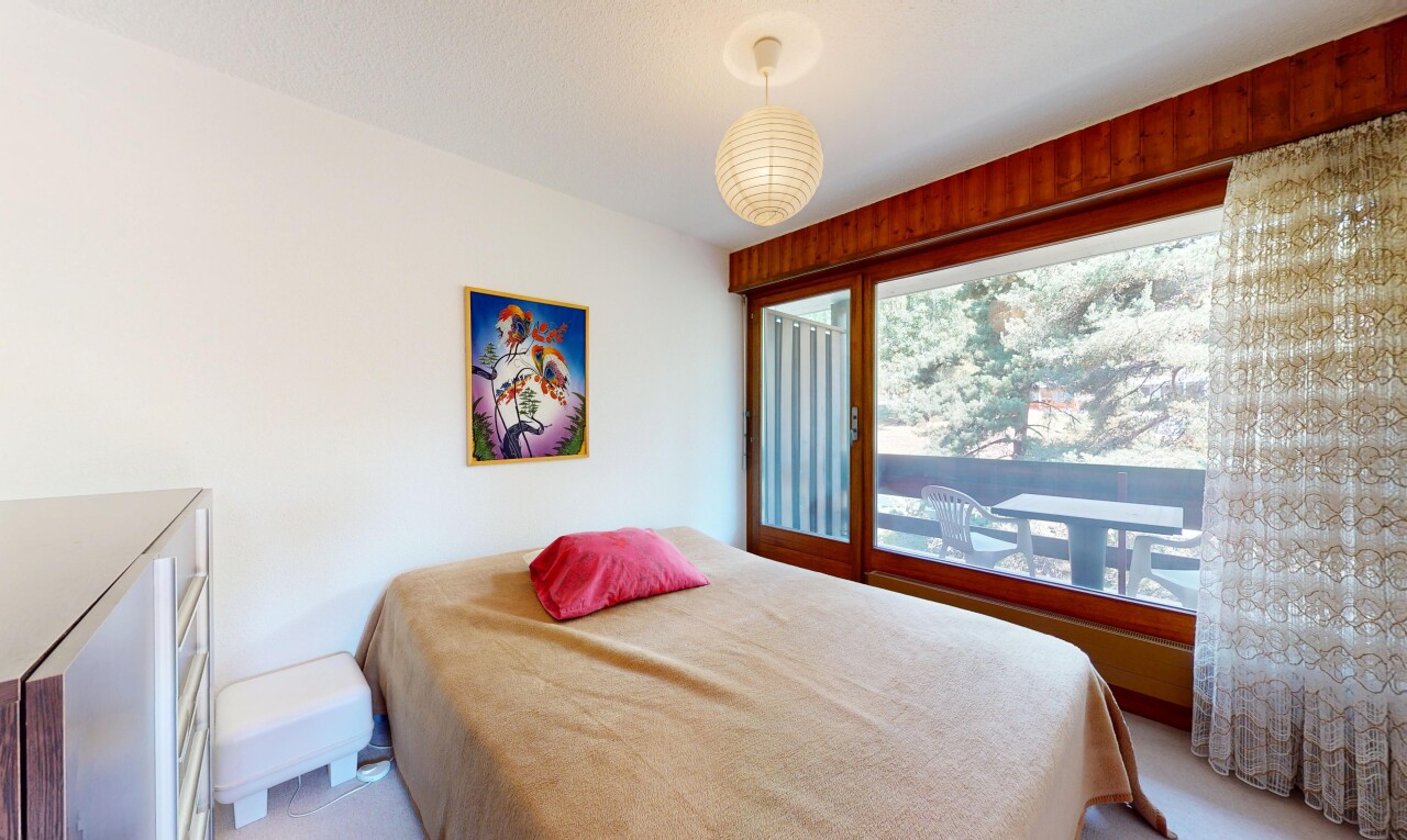 Charmante 2,5-Zimmer-Wohnung im Herzen des Kurorts Ovronnaz - 7