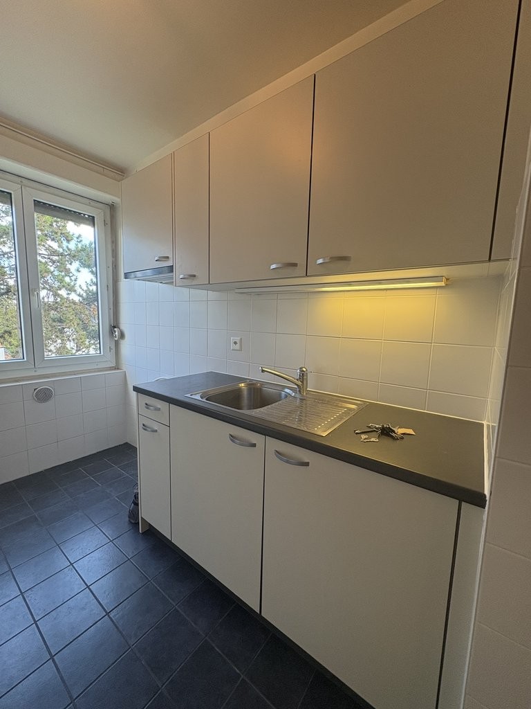 À saisir ! Bel appartement au coeur de Genève ! - 3