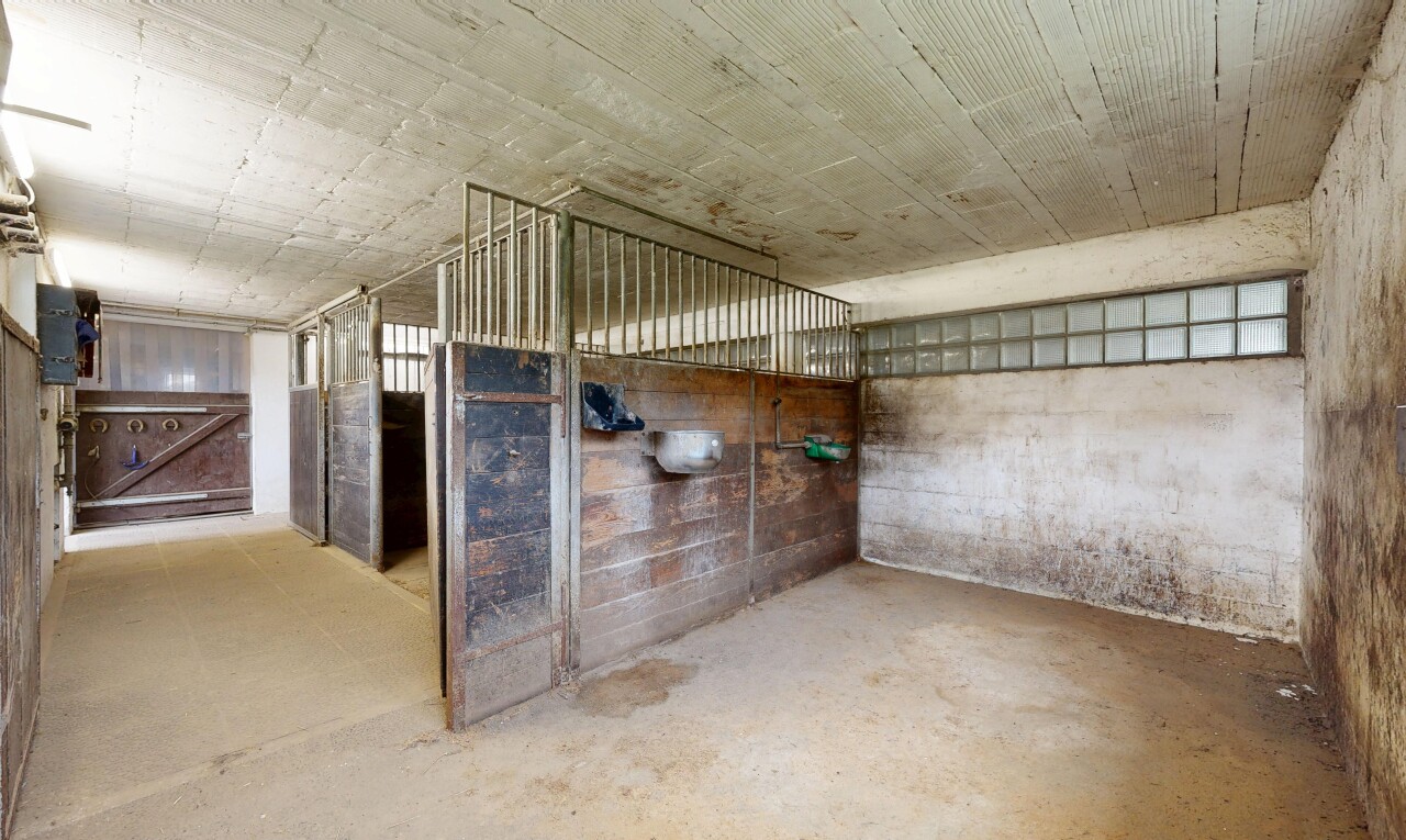 Wohnung in Les Reussilles - 9