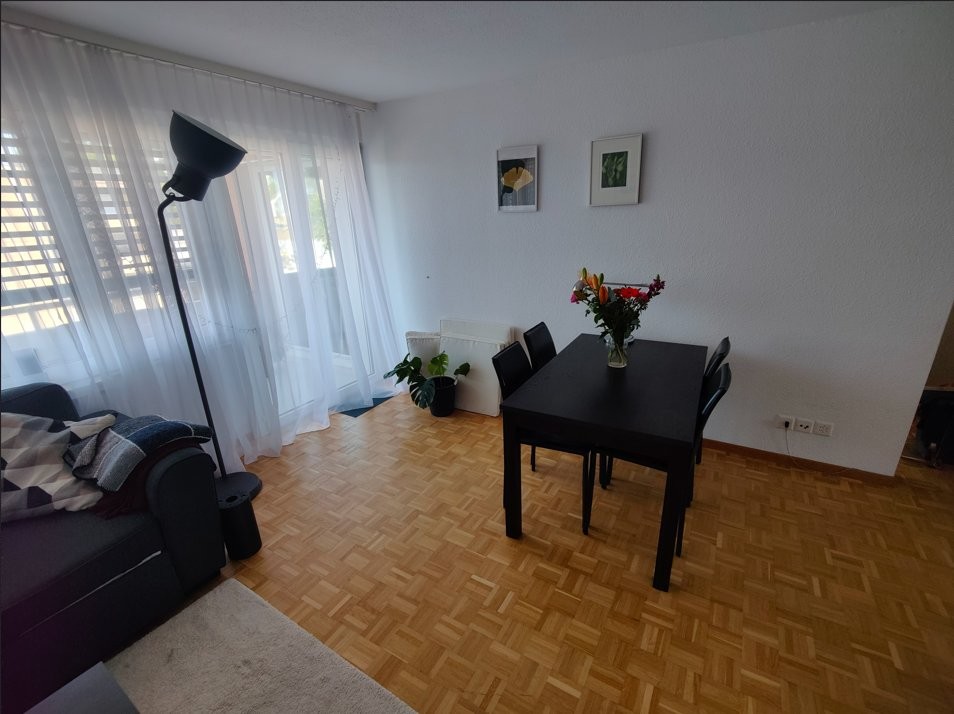 Renovierte 4.5 Zimmerwohnung an zentraler Lage - 1