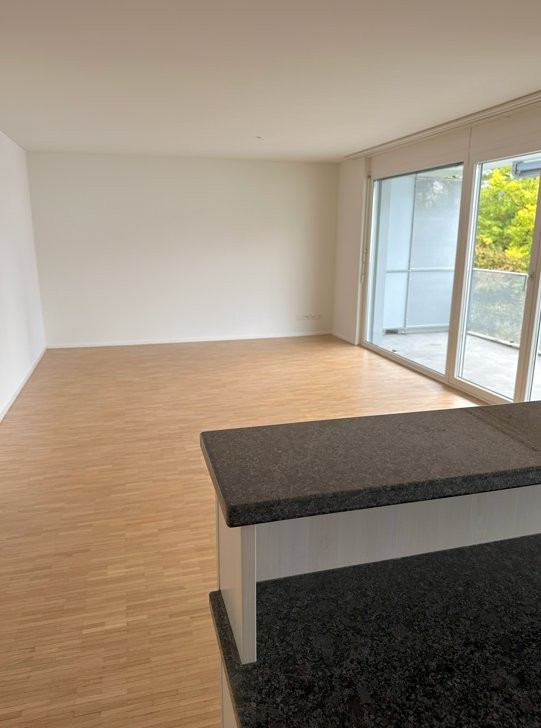Urbanes Wohnen mit Wohlfühlfaktor - mitten in Luzern! - 1