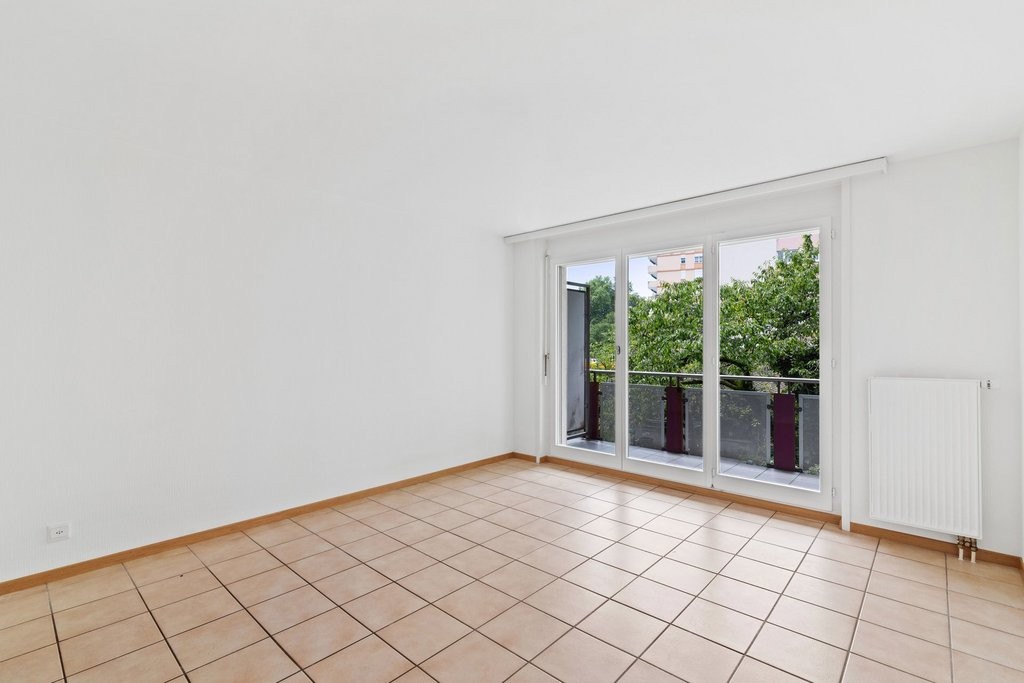 Magnifique appartement près du lac Léman ! - 1