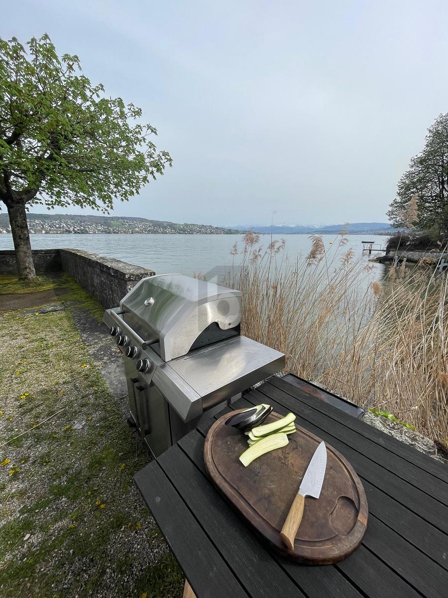 MÖBLIERT AM SEE MIT PRIVATEM BADEPLATZ - 3