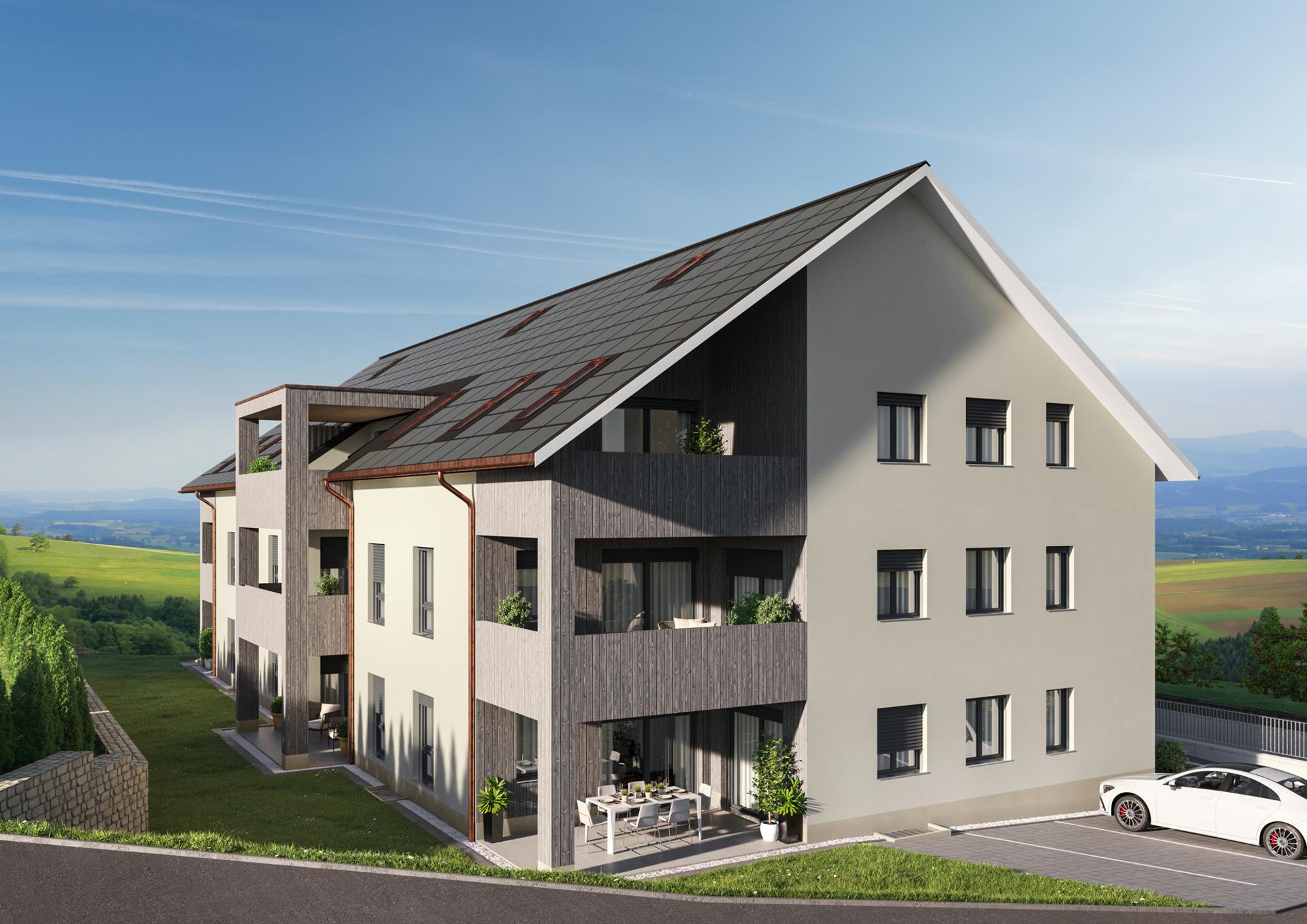 New construction project: Living space Gansingen - 3