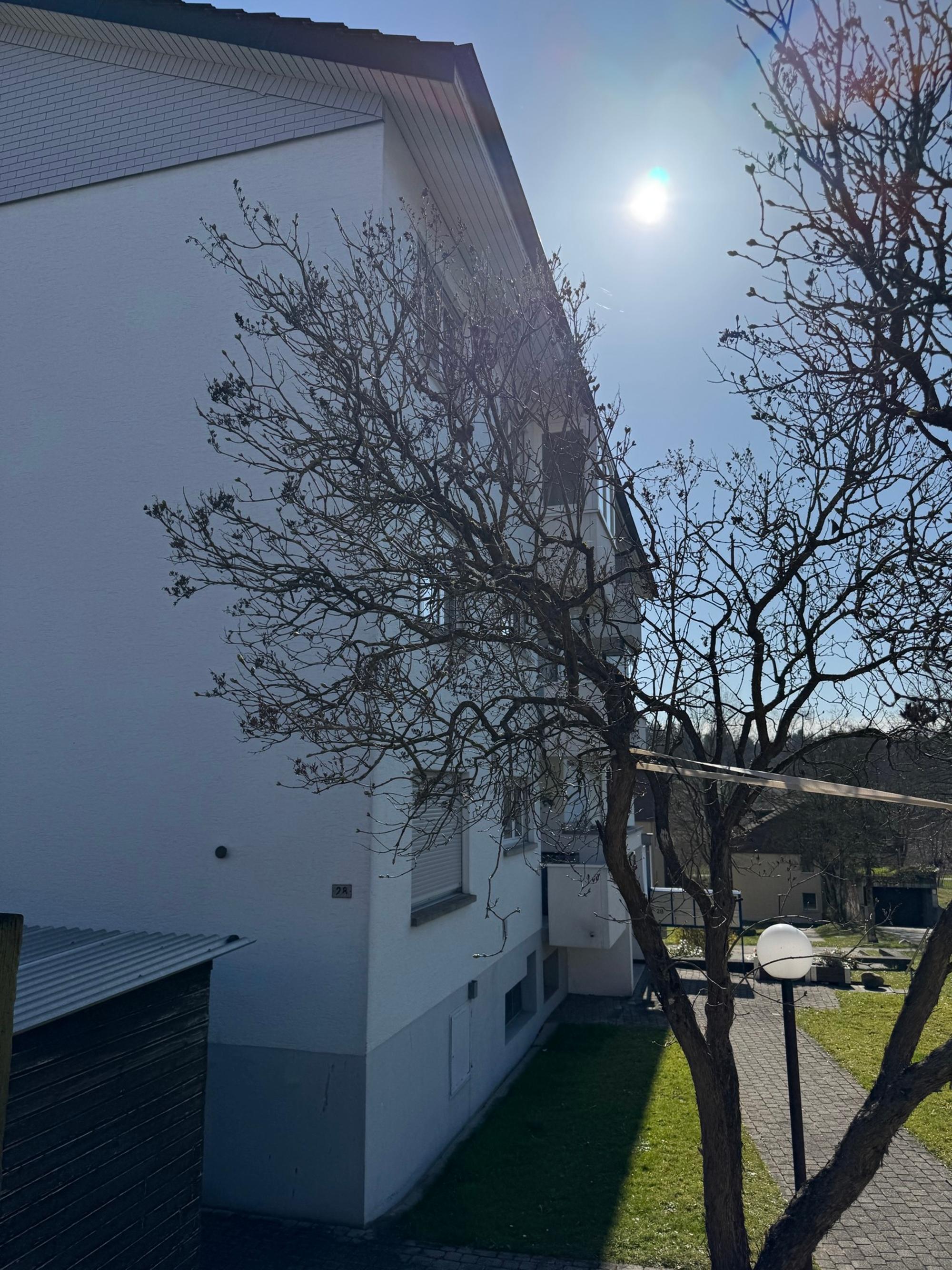 Beautiful 4.5-room apartment with all-day sun and a new look - 11