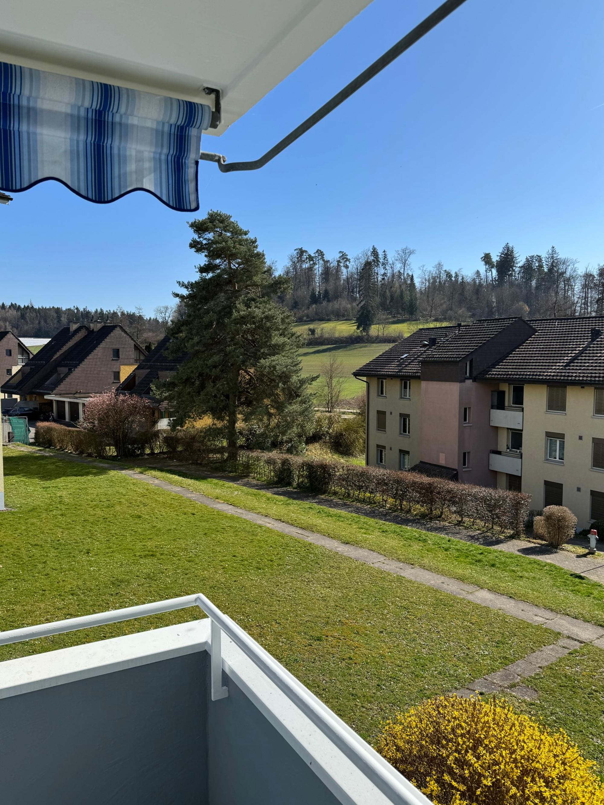 Beautiful 4.5-room apartment with all-day sun and a new look - 9