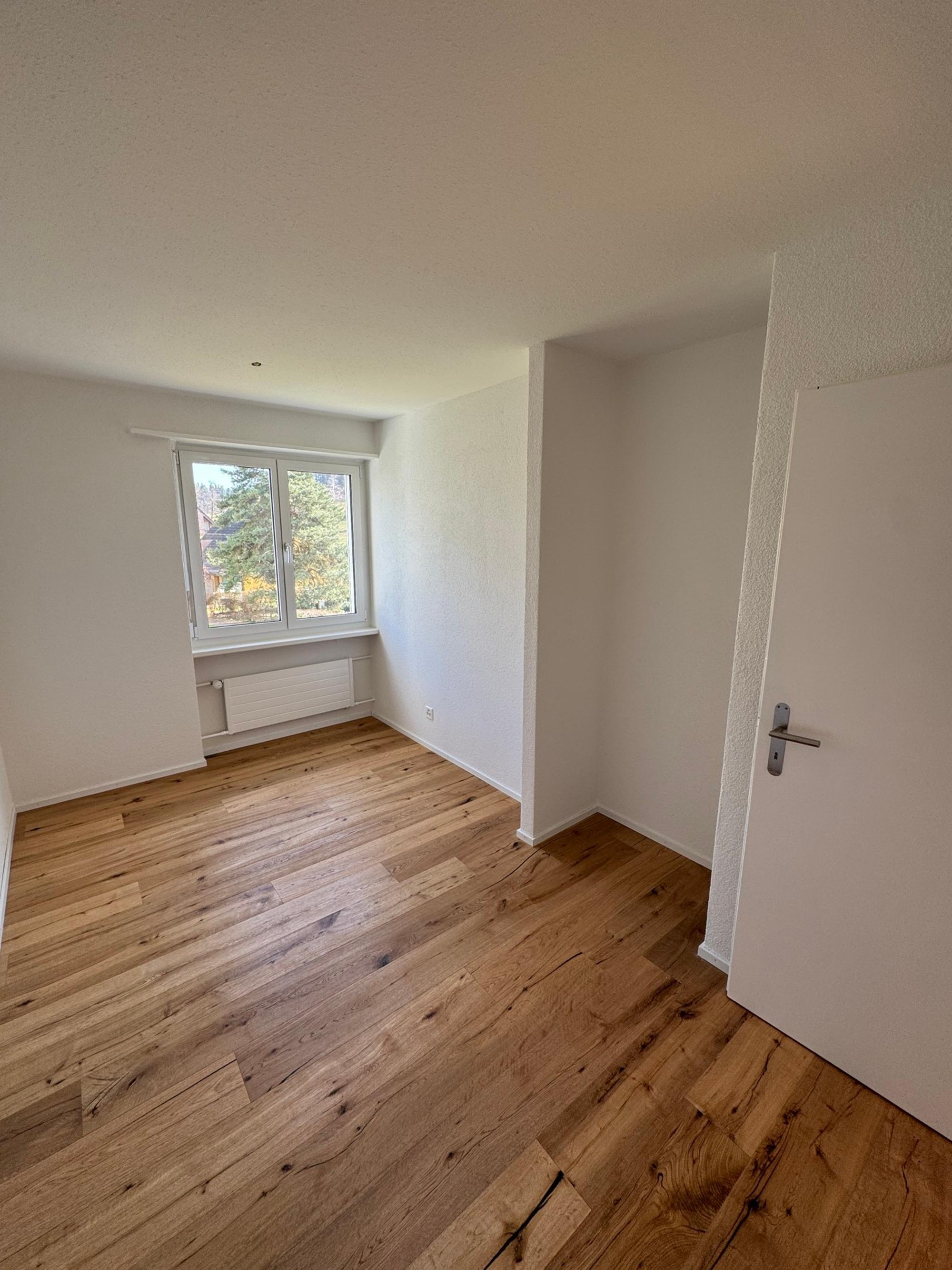 Beautiful 4.5-room apartment with all-day sun and a new look - 7