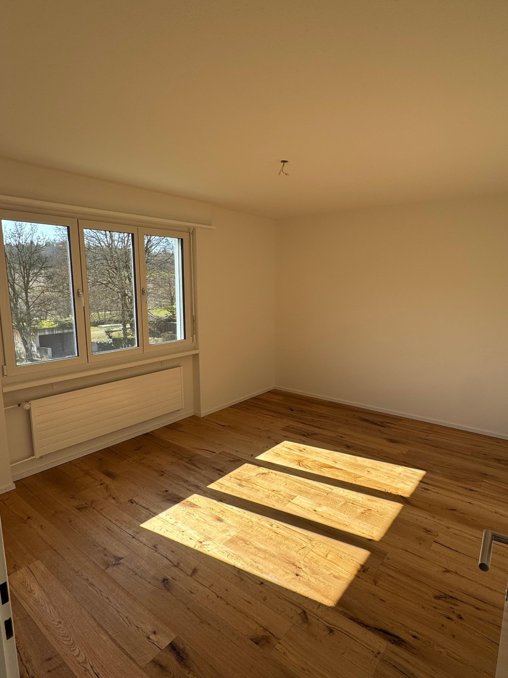 Beautiful 4.5-room apartment with all-day sun and a new look - 6