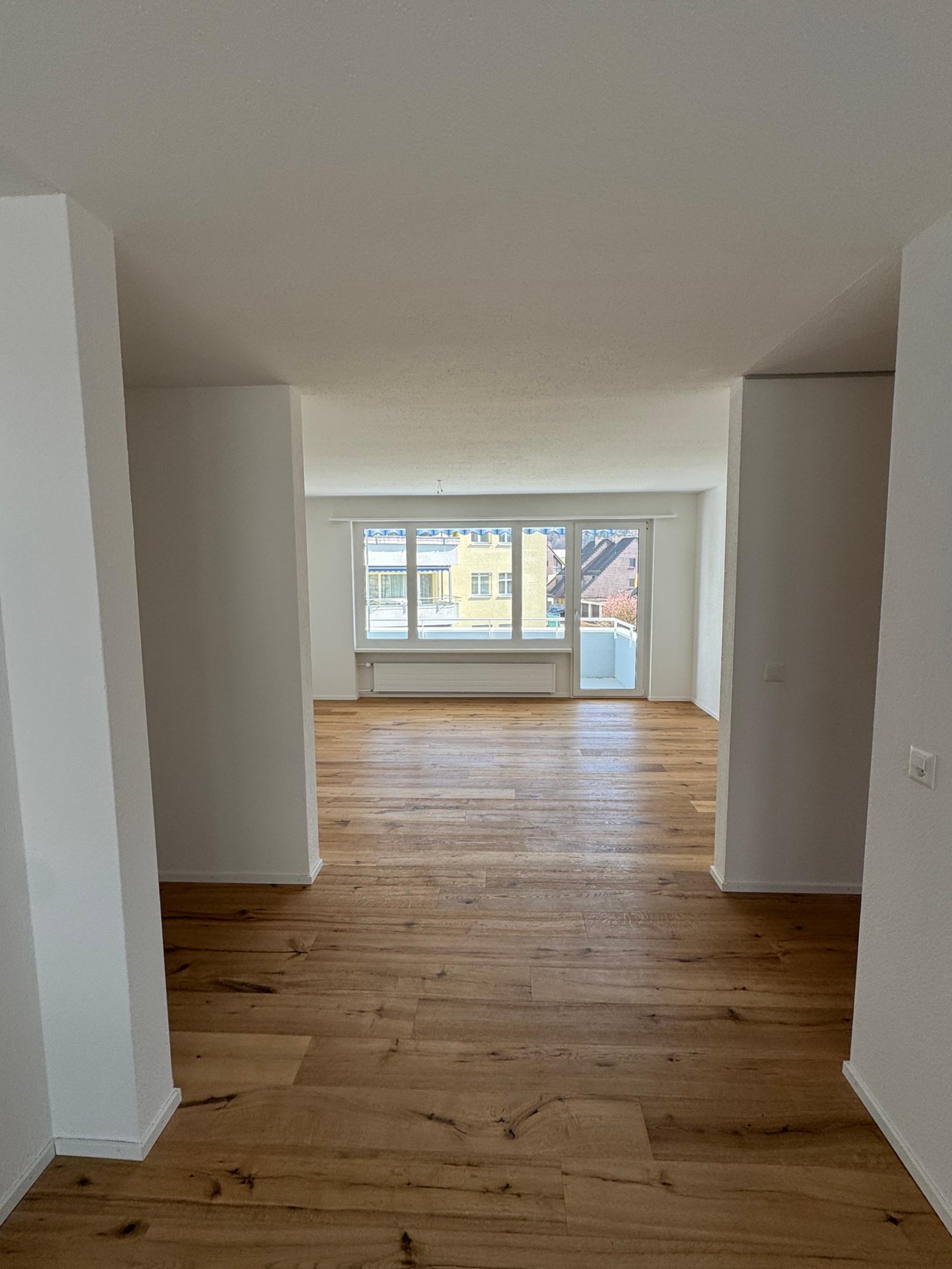 Beautiful 4.5-room apartment with all-day sun and a new look - 2